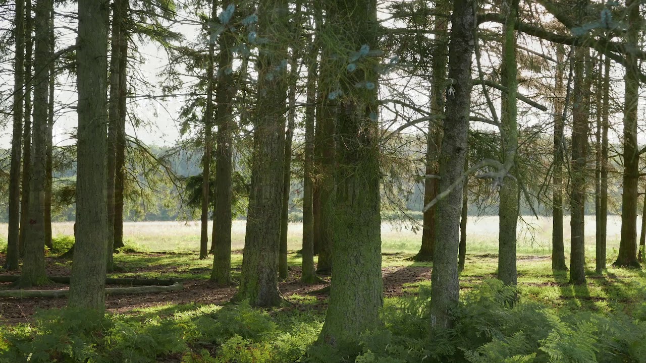 The Best of Mario Grigorov - Piano Scores