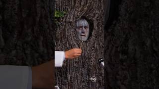Talking Tree Learns About Paper (ft. Jack McBrayer)