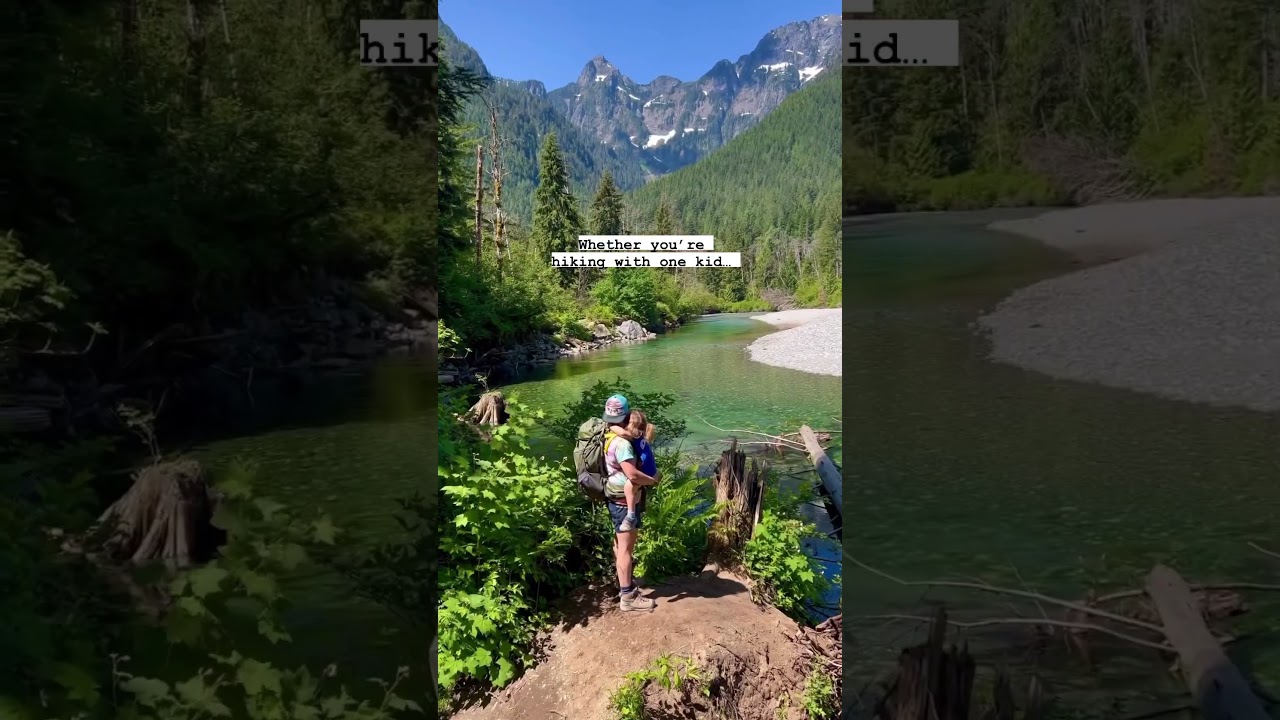 Best Kid Carrier You Need To Know About