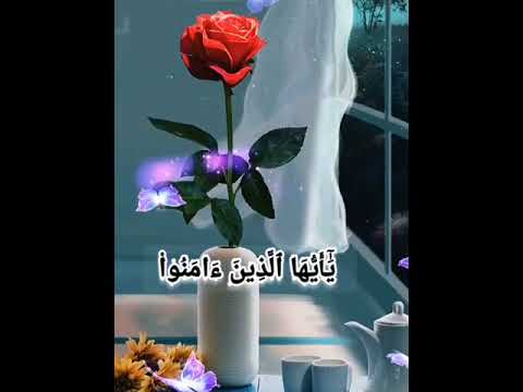 يا ايها الذين آمنوا صلوا ع ليه وسلموا تسليما أحمد النفيس 