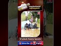 అకాల వర్షాలకు పంట నష్టం.. రైతుల కష్టాలు #FarmersIssues #RythuBadhalu #ShaileshReddySpeaks