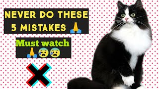 5 Common Mistakes Cat owners Make | Persian cat care | Persian cat problems | urdu / hindi