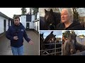Daniel Considine visits Hungry Horse Outside Rescue in Longford I Shannonside FM