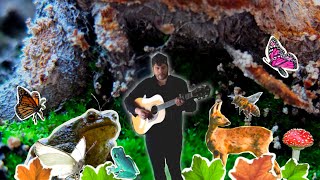 Details Hex Frog - Soil or Dirt (Official Video) News