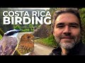 Birding in costa rica with diego  cheep