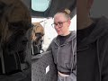 @johnnyandraya: Best purchase for my big boy! 😂 #dog #dogvideos