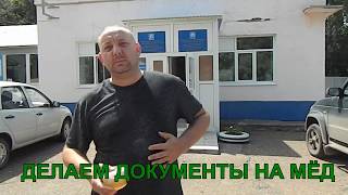 ДЕЛАЕМ ДОКУМЕНТЫ НА МЁД