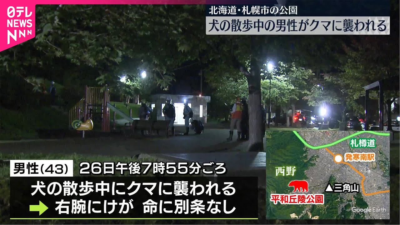 右腕にけが】犬の散歩中の男性、クマに襲われ 札幌市の公園 - YouTube