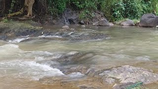 Beautiful babbling brook sound, river flowing over rocks, sleep, meditation, study, focus