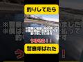 皆さんならどうしますか？#shorts #釣り
