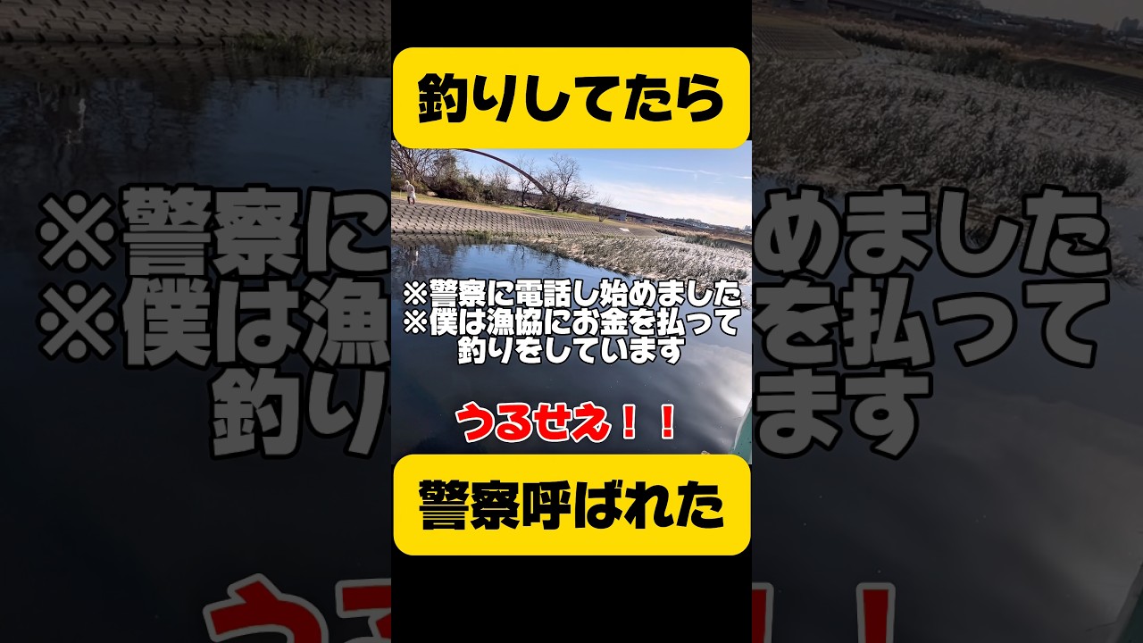 皆さんならどうしますか？#shorts #釣り