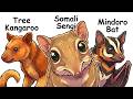 Every New Discovered Land Animal Explained in 26 Minutes