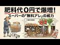 スーパーの無料○○だけで野菜が止まらなく育つ — 農家が密かに続ける0円栽培