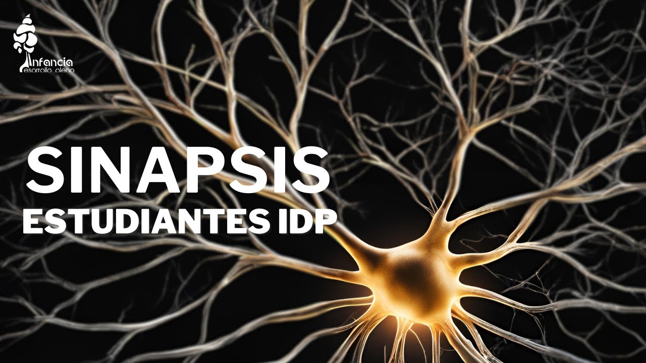 Sinapsis y potencial de acción