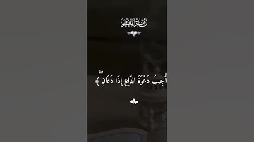 قرآن كريم بصوت ماهر المعيقلي❤️🤲🏻🗣️ {جمعة مباركة} #اكسبلور #الرحمن #المصحف