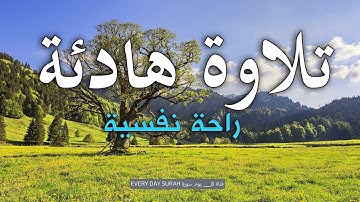راحة نفسية تلاوة هادئة