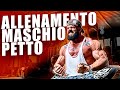 PETTO E POLPACCI | Allenamento integrale