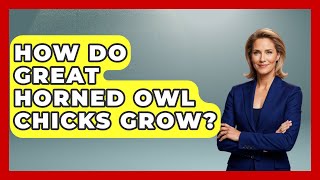 How Do Great Horned Owl Chicks Grow - Bird Watching Diaries