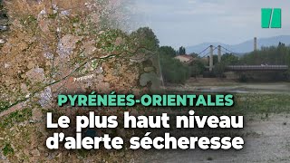 Face à la sécheresse dans les Pyrénées-Orientales, des restrictions d'eau et des sanctions prévues