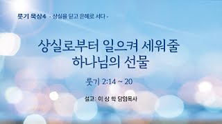 [새문안교회 이상학목사 룻기 묵상(4)] 상실로부터 일으켜 세워줄 하나님의 선물 (룻기 2:14~20)