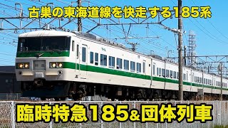 【185系 臨時特急185 ＆ 団体列車 正面幕3種】東海道本線