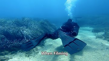 Going Backwards (in diving, not life)