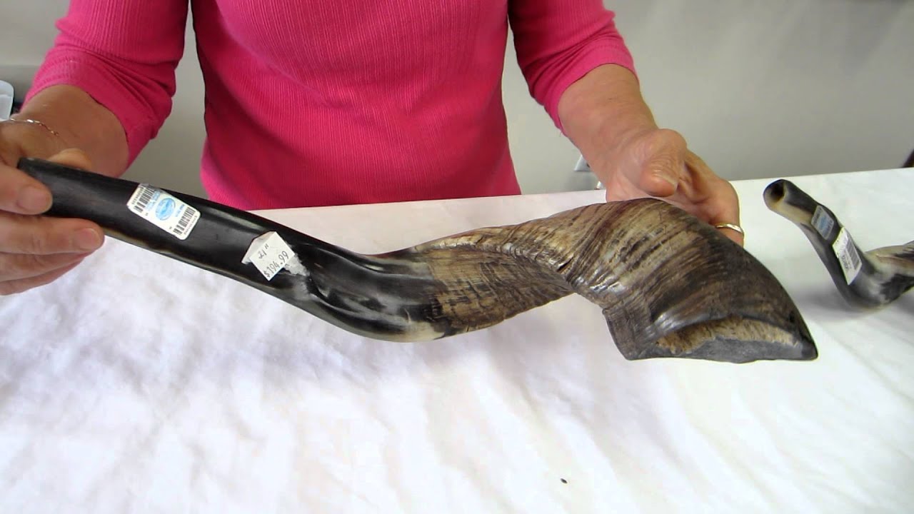 23" and 21" Kosher Shofars - YouTube
