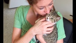 Dormouse part 6  A Setback & Solution | Socializing a scared kitten