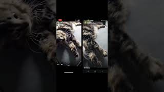Snapchat comparison of S23 Ultra and IPhone 12 Pro Max - #snapchat #android #apple #tech #samsung