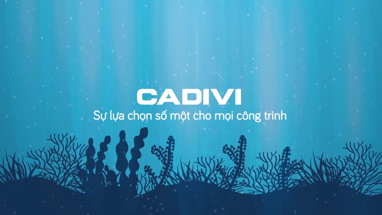 CÁ MẬP BIỂN ĐÔNG SỢ GÌ?
