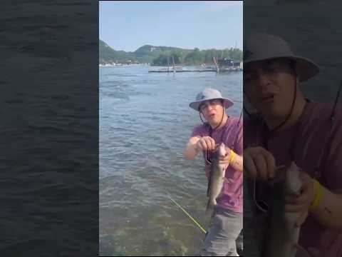 صيد قرموط فضي من نهر الميسيسيبي تجربة فريدة وممتعة Fishing Fish Fishinglif Catfish