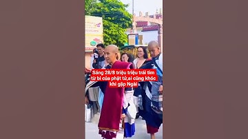 sáng 28/8 triệu triệu trái tim từ bi,ai cũng khóc khi gặp Ngài#shortvideo #suminhtue