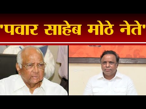 Ashish Shelar | पवार साहेब मोठे नेते, त्यांना आम्ही काय सांगणार : आशिष शेलार - tv9