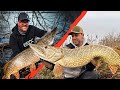 ZECK Deadbait - es geht los!