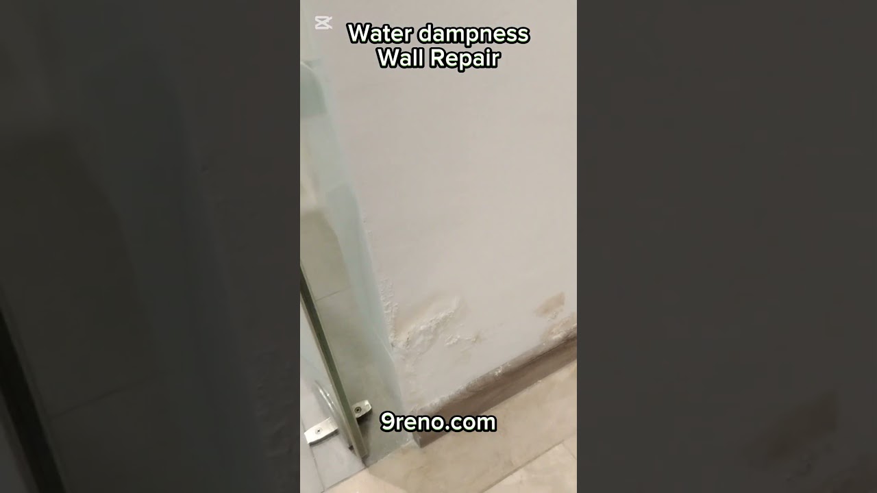 [9reno] "Damp Toilet Wall? FIX IT FAST with Waterproof Coating! (Singapore HDB Wall Hack 🔧💧)"
