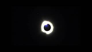 Solar Eclipse 2024 at Cooper Lk State Park TX by ME Olson D300 UHD