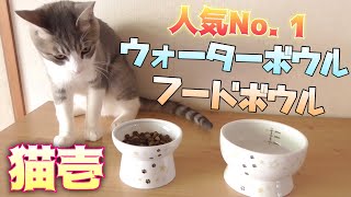 【猫壱】大人気フード＆ウォーターボウルを子猫にプレゼントしてみた‼︎ Kitten cat food bowl and water bowl presented to kittens