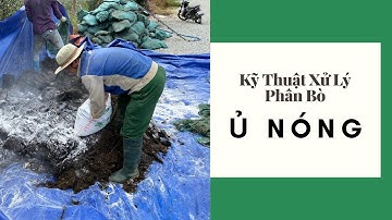 Kỹ Thuật Xử Lý Phân Bò Hiệu Qủa: Ủ NÓNG