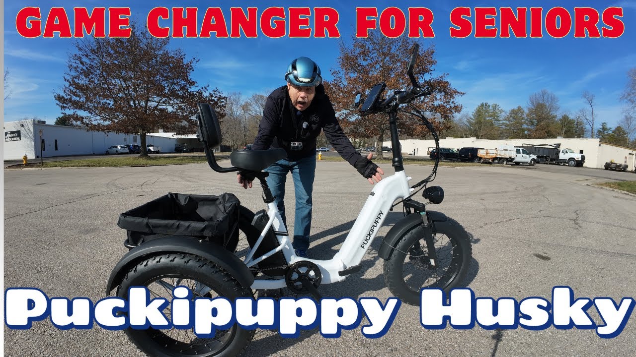 Why Is This Puckipuppy Trike a best seller?