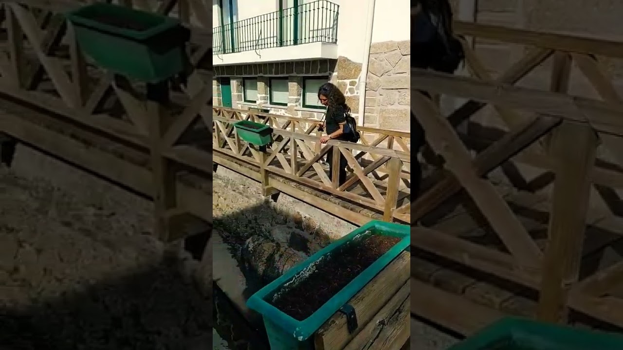centro da cidade de santa Comba dão..💯