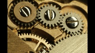Watch Mechanism Lapse