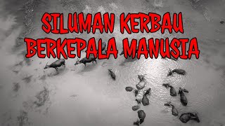 PANGULUH HADANGAN • CERITA MISTIS KALIMANTAN • SILUMAN KERBAU BERKEPALA MANUSIA