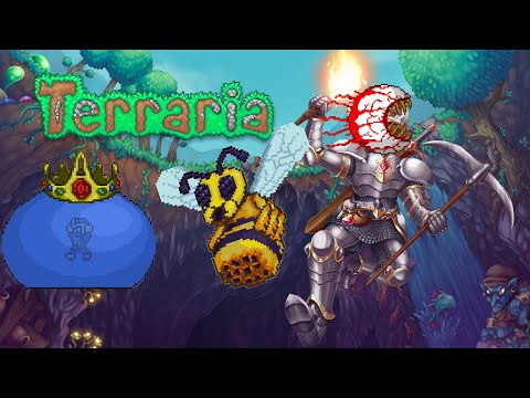 Видео: СТРАДАЕМ С МОДАМИ terraria calamity mod