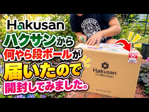 I unboxed a large package that arrived from Proven Winners. - YouTube