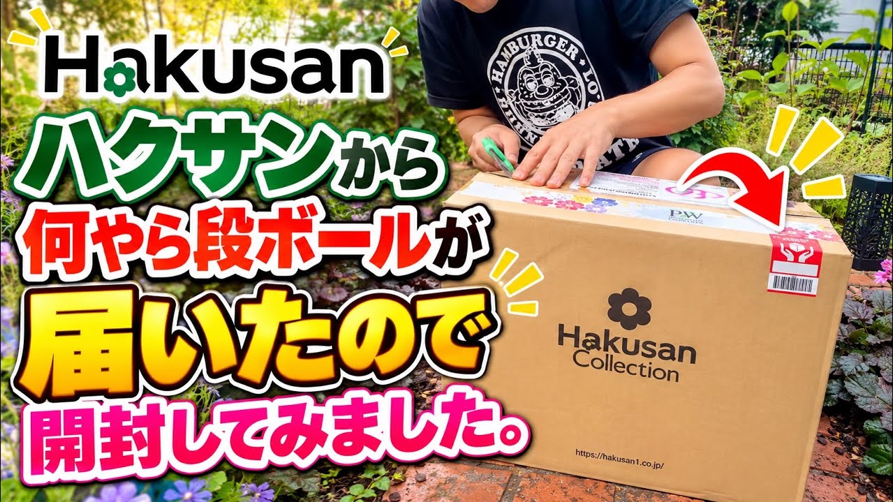 購入済。No13 シムランスラグナサンチェス×ブルーサプライズ抜き苗　発送方法① I unboxed a large package that arrived from Proven Winners. - YouTube