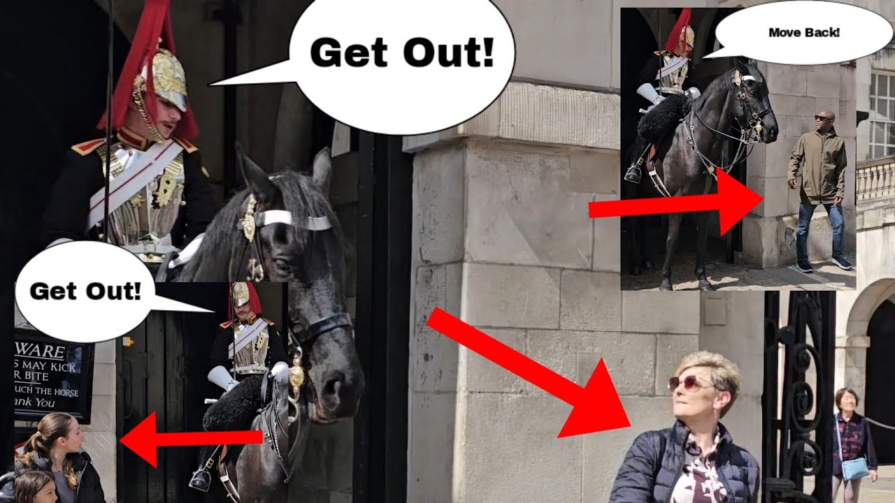 THEY NEVER LEARNED! Three tourists got told off by the King's Guard!