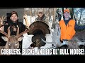 Gobblers, Bucks and Big Ol’ Bull Moose