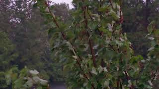 Hurricane Irma, Oviedo FL 9/10/17 7pm