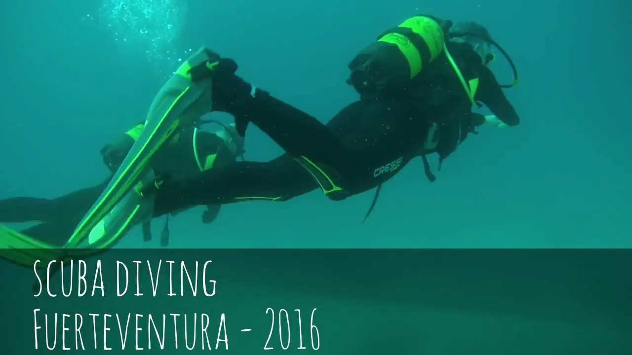 Scuba Diving Fuerteventura Moro Jable Big Reef PT I YouTube