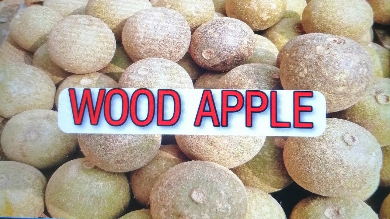 DIFFERENCES BETWEEN RIPE AND UNRIPE WOOD APPLE | KADBEL FUL |BANGLADESH ...